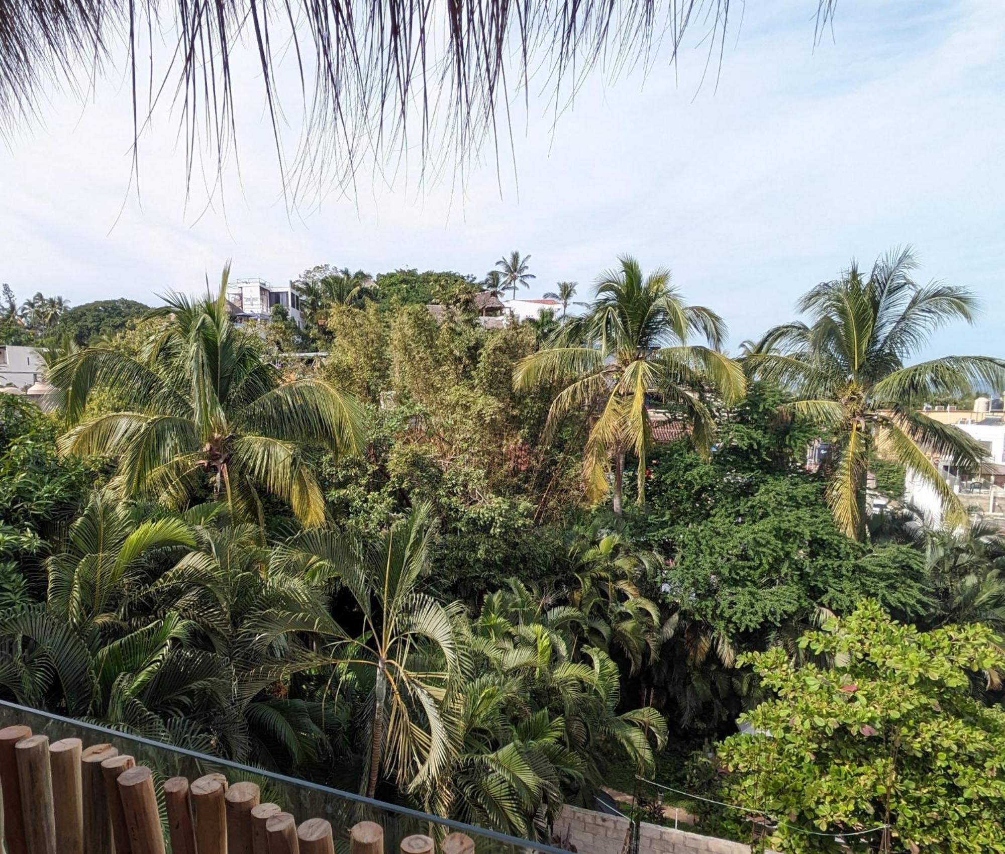 Casa Pepe Hotell Sayulita Eksteriør bilde